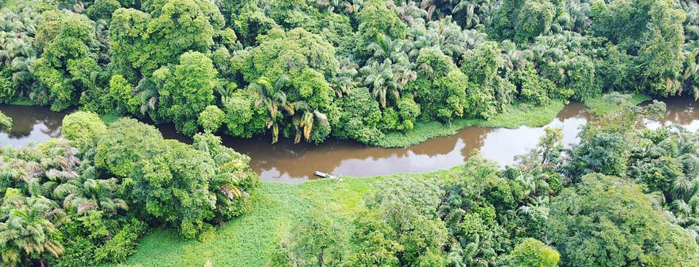 Find out about Barra del Colorado Wildlife Refuge - Visit Costa Rica